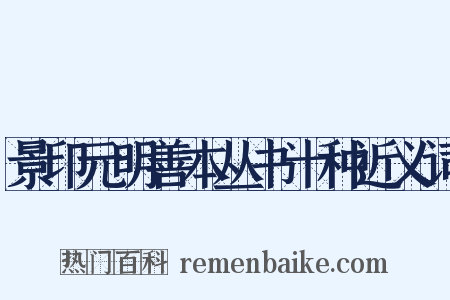 景印元明善本丛书十种近义词是什么意思的图片